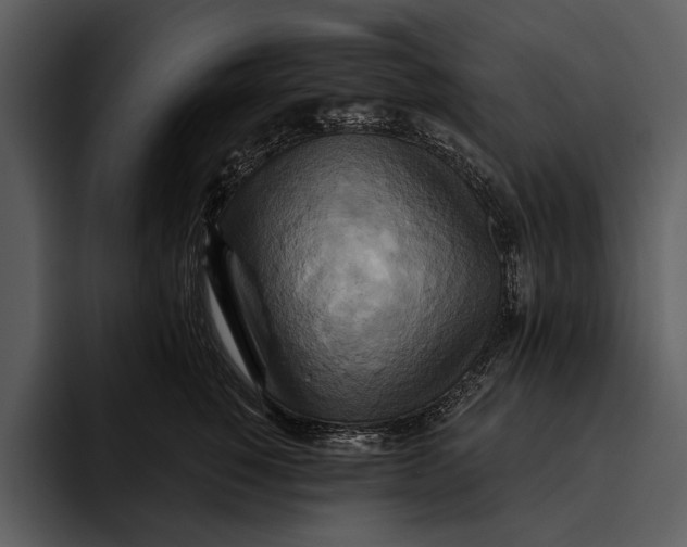 X0000095680760200801291157