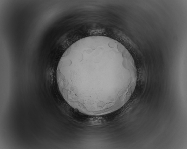 X0000095680761200801291157