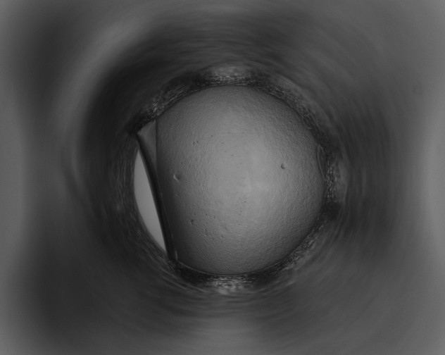 X0000095680762200801291157