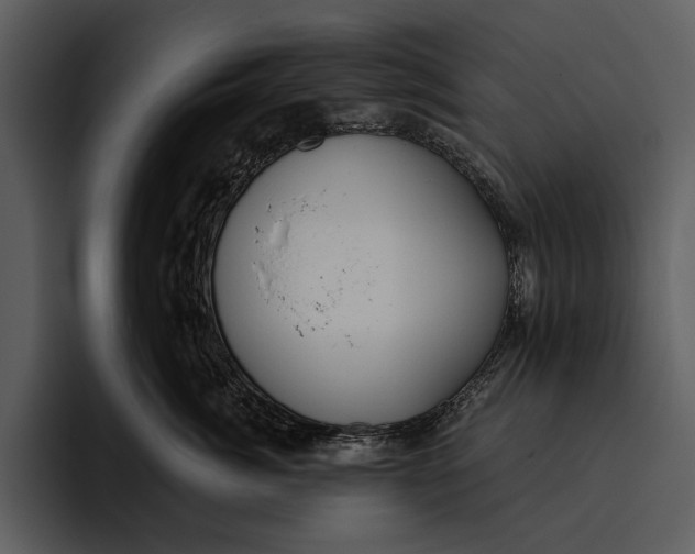 X0000095680764200801291157