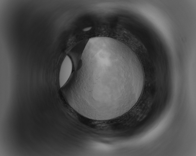 X0000095680766200801291157