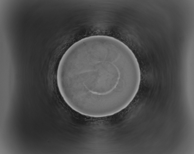 X0000095680769200801291156