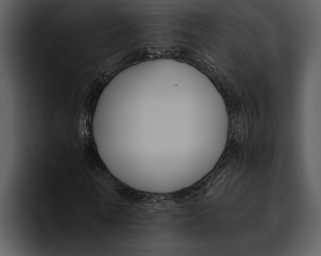 X0000095680770200801291156