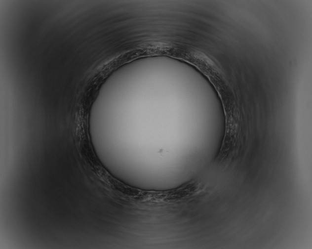 X0000095680773200801291156