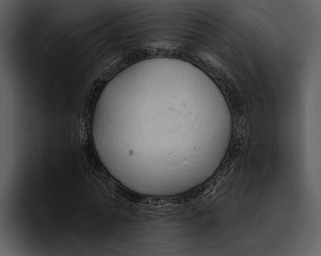 X0000095680774200801291156