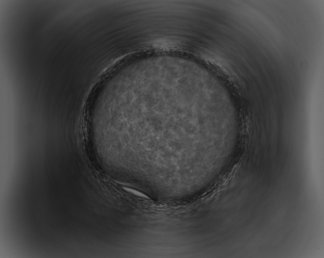 X0000095680776200801291156