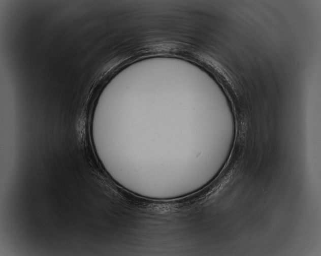 X0000095680778200801291156