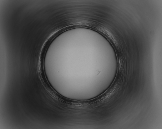 X0000095680780200801291156