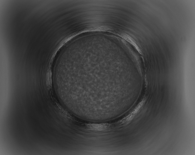 X0000095680781200801291156