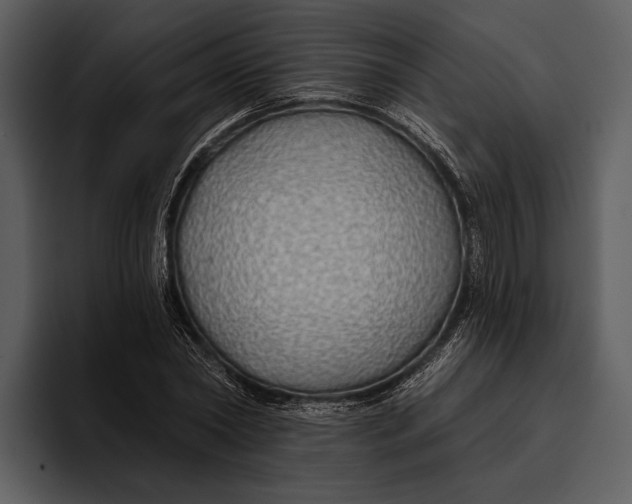 X0000095680782200801291156