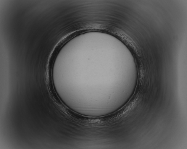 X0000095680784200801291156