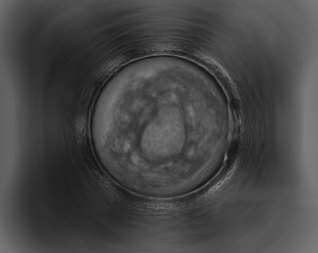 X0000095680785200801291156