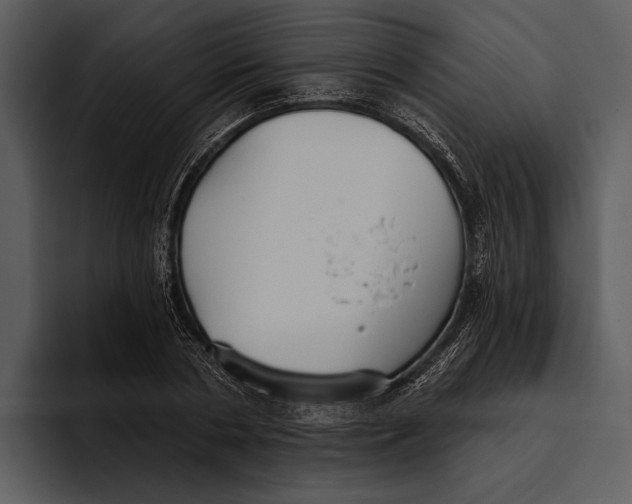 X0000095680786200801291156