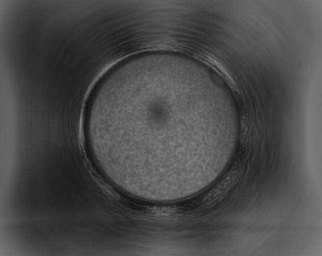 X0000095680788200801291156