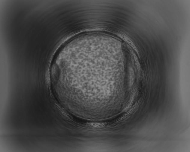 X0000095680789200801291156