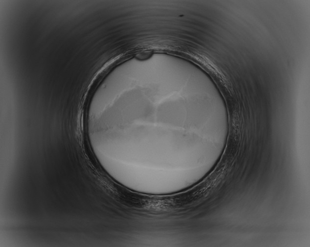 X0000095680790200801291156