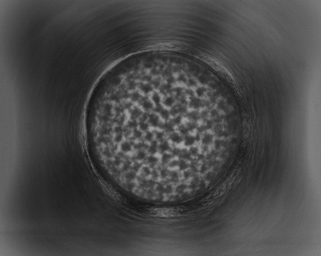 X0000095680792200801291156