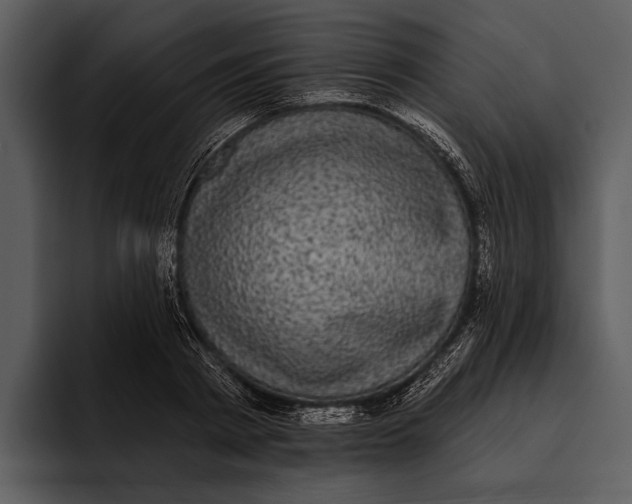 X0000095680793200801291156