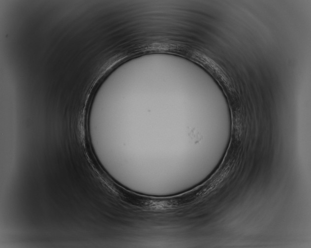 X0000095680794200801291156