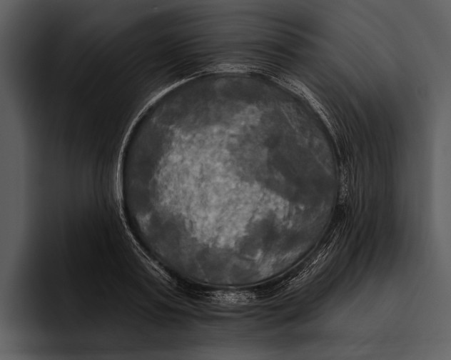 X0000095680795200801291156