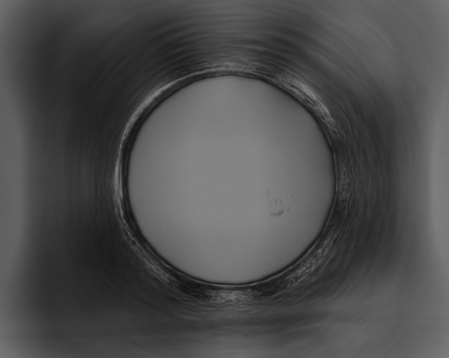 X0000095680796200801291156