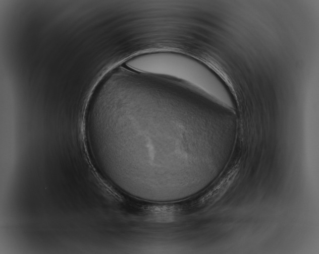 X0000095680797200801291156