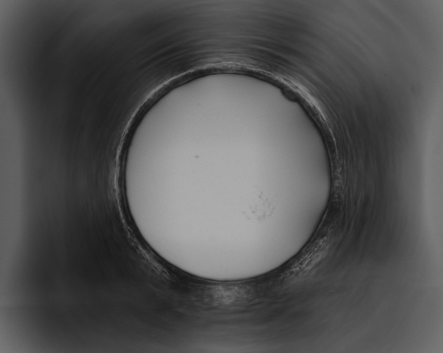 X0000095680799200801291156