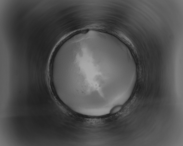 X0000095680800200801291156