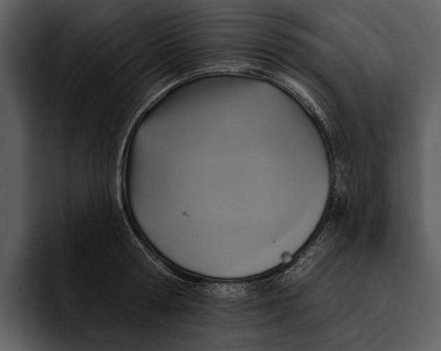 X0000095680802200801291156