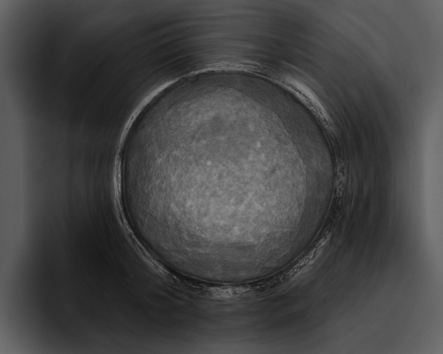 X0000095680804200801291156