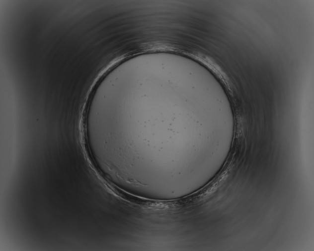 X0000095680806200801291156