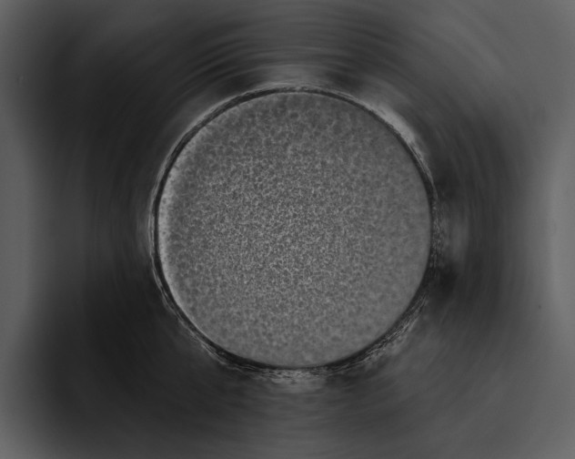 X0000095680807200801291156