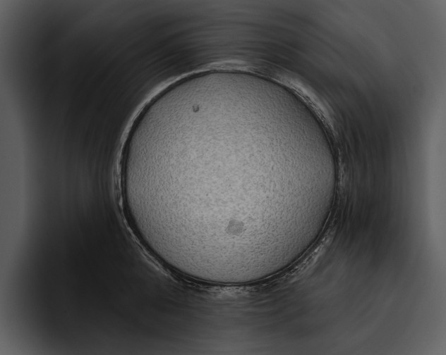 X0000095680808200801291155