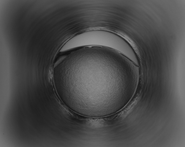 X0000095680809200801291155