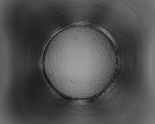 X0000095680810200801291155