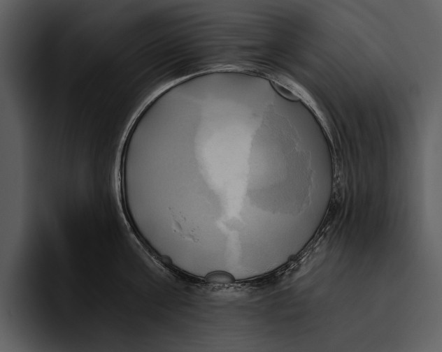 X0000095680811200801291155