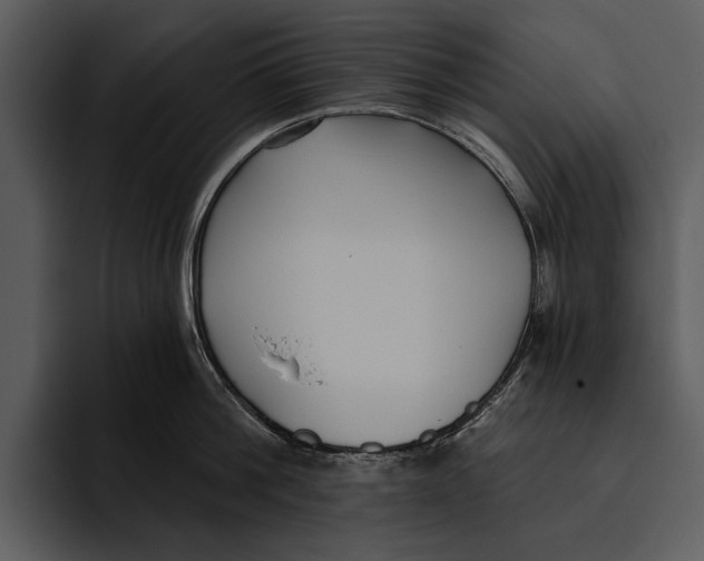 X0000095680812200801291155