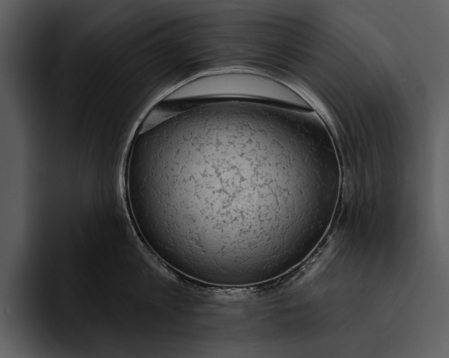 X0000095680813200801291155