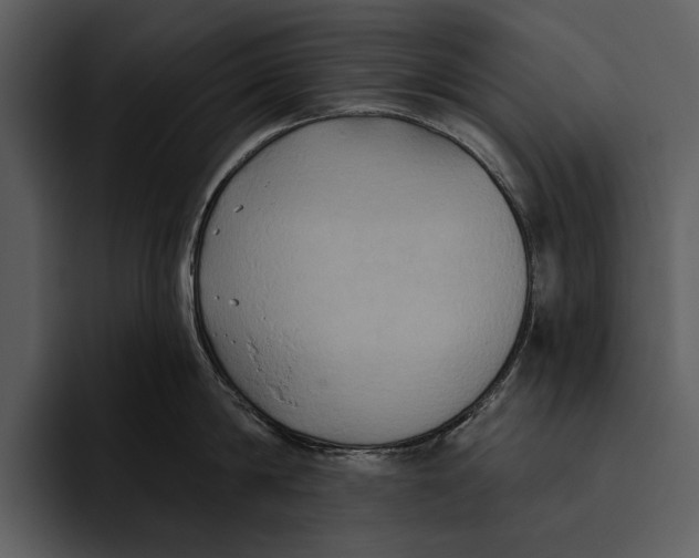 X0000095680814200801291155