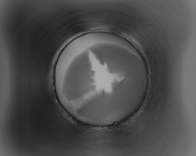 X0000095680816200801291155