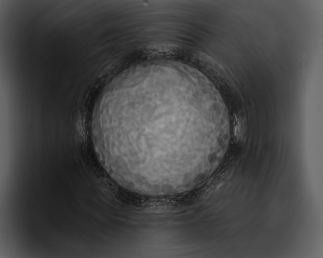 X0000095680819200801291155