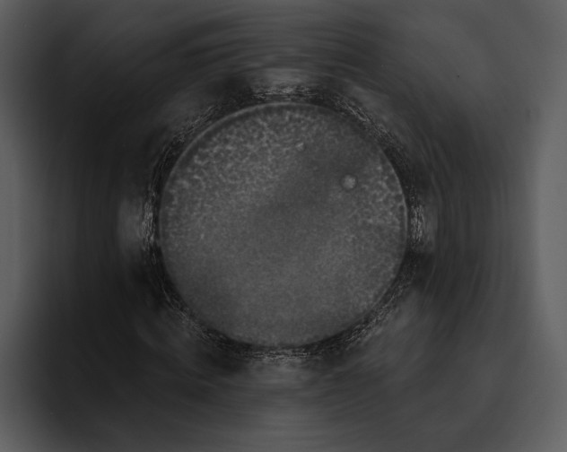 X0000095680820200801291155