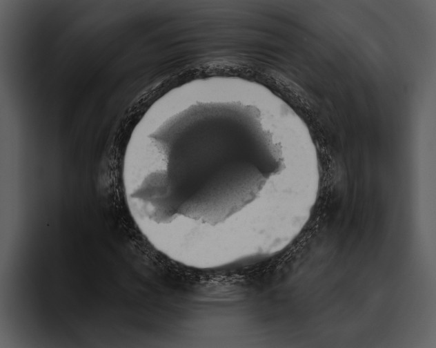 X0000095680824200801291155