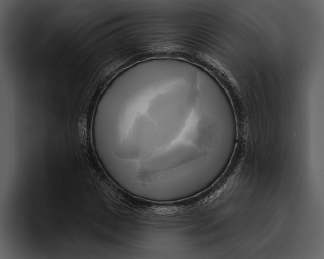 X0000095680825200801291155