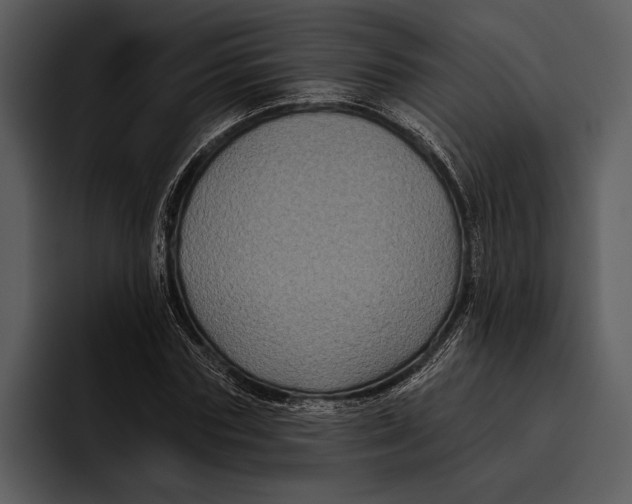 X0000095680827200801291155