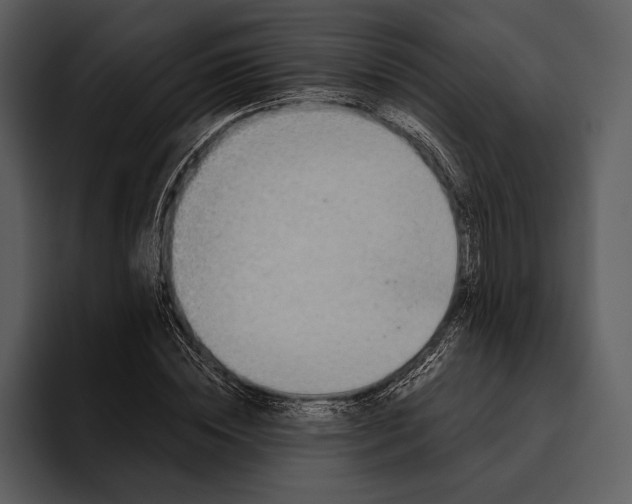 X0000095680828200801291155