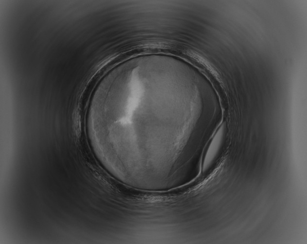 X0000095680829200801291155