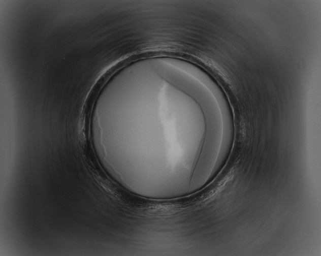 X0000095680830200801291155