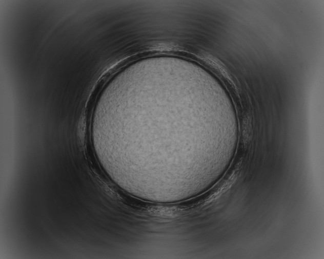 X0000095680831200801291155