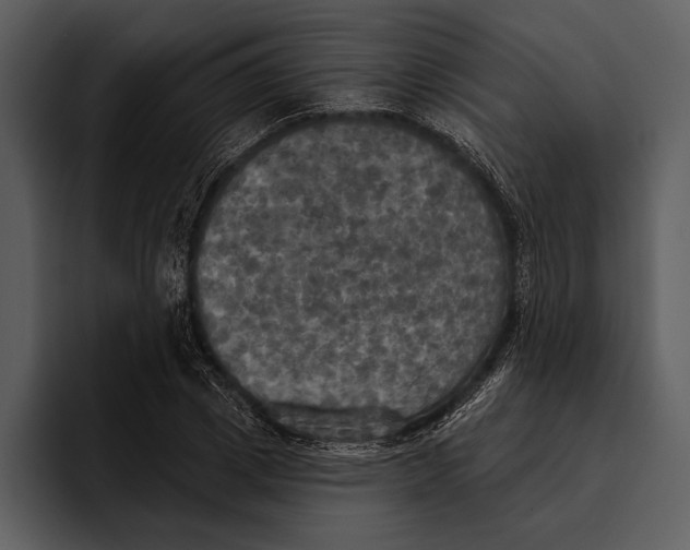 X0000095680833200801291155